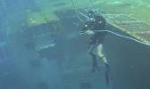 Diver on sunken ship