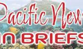 PACIFIC NEWS BRIEFS LOGO