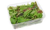 packaged salad
