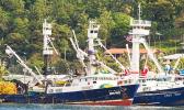 purse seiners