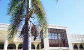 She appeared in the Samoan court on Monday, June 17. Samoa courthouse