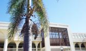 Samoa Supreme Court building