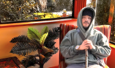 Tawhaki