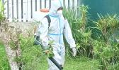 SPRAYING TO PREVENT DENGUE FEVER