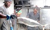 Crew works the fish in the hold of the purse seiner Mathawmarfach
