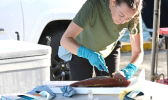 scientist collects biological samples